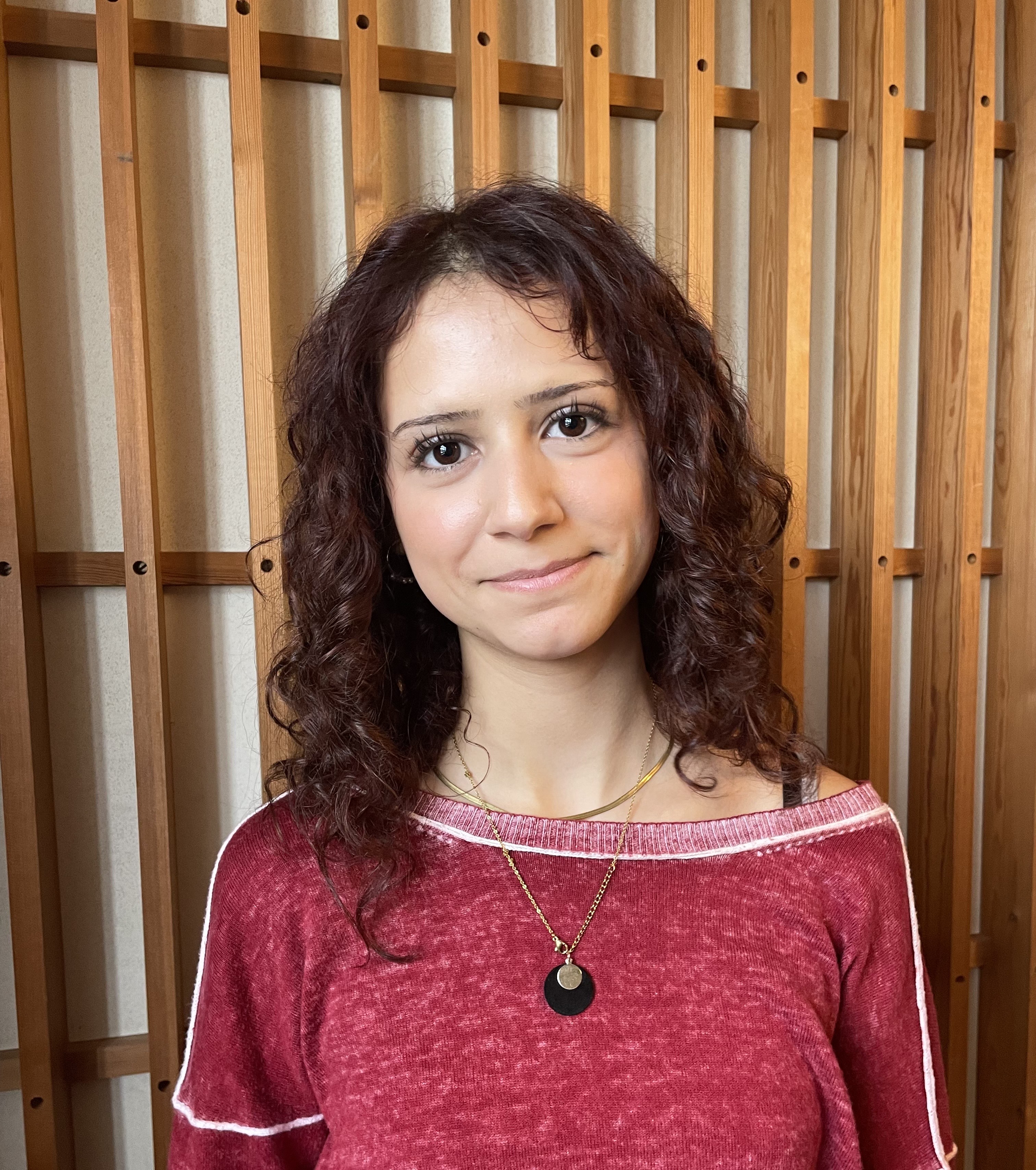 Hanin Hussein Ibrahim